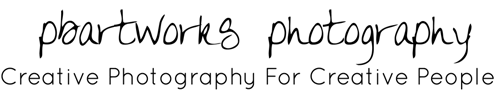 PbArtworks logo